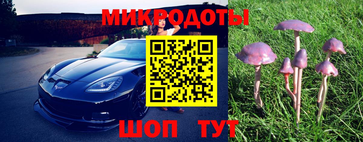 Тайшет  Псилоцибиновые грибы Psilocybine cubensis  Галлюциногенные грибы прущие грибы  Вход с VPN 